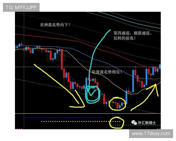 南京与深圳羽毛球队对决技术分析赛后复盘深度剖析 南京与深圳羽毛球队对决技术分析赛后复盘深度剖析