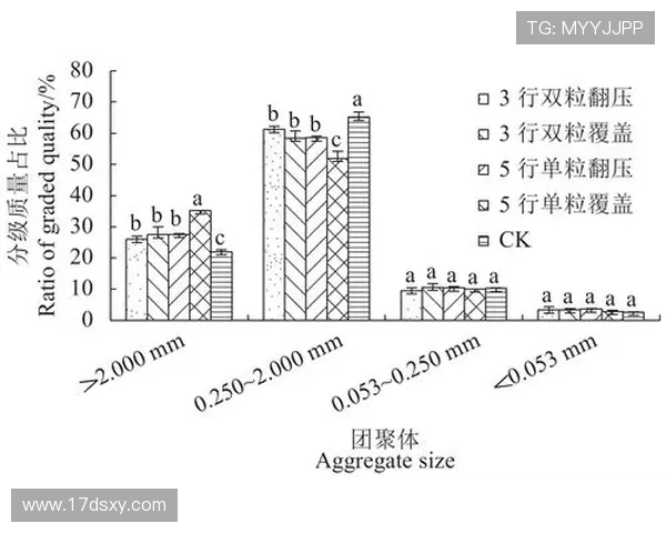深入探讨北京乒乓球队员个人能力差异及其对比赛表现的影响分析