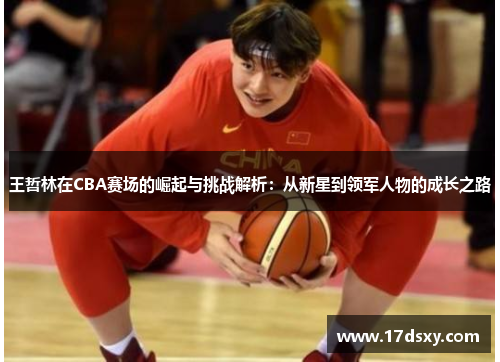 王哲林在CBA赛场的崛起与挑战解析：从新星到领军人物的成长之路